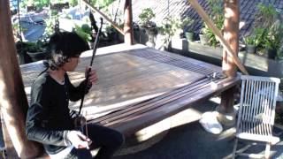 qing hua ci erhu cover 二胡 bali [upl. by Skilken]