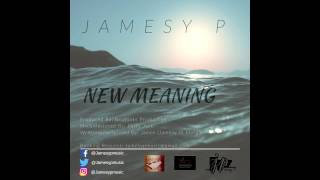 JAMESY P NEW MEANING [upl. by Ferren]