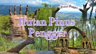 Keindahan Hutan Pinus Pengger Bantul Yogyakarta Wisata Pinus Jogja [upl. by Onibla]