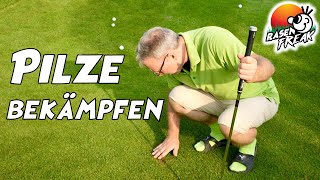 3 Tipps bei PILZKRANKHEITEN auf der Rasenflächen Ausserdem Erste Infos zu meinem neuen Golf GRÜN [upl. by Acinyt]