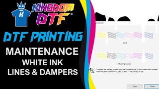 🔧 How to do Maintenance to White Ink Lines and Dampers on Epson L1800 Easy FIX  DTF Printing [upl. by Ewer]