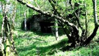 VERDUN 1WK WWI Battlefield today  Ort des Grauens  Fumin IWerkR1 nähe  near Fort Vaux 2011 [upl. by Ahsinahs204]