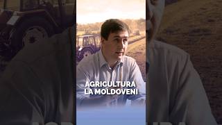 Economistul Veaceslav Ioniță despre asigurările și subvențiile din agricultură [upl. by Reyotal]