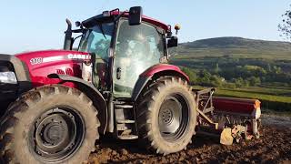 Semis de couvert végétaux avec le case maxxum 110 [upl. by Llenad]