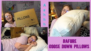 Bafode Home Goose Down Pillows  Unboxing amp Review [upl. by Teilo317]