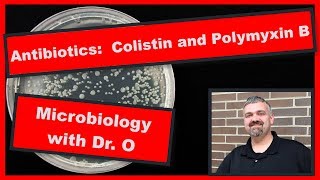 Colistin and Polymyxin B Microbiology [upl. by Landry]