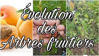 ÉVOLUTION DES ARBRES FRUITIERS [upl. by Boniface]