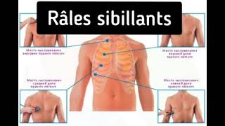 apprendre à écouter les bruits trachéobronchiques [upl. by Questa]
