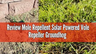 Review Mole Repellent Solar Powered Vole Repeller Groundhog Snake Deterrent Vibration Stakes Undergr [upl. by Rene350]