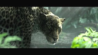 The Legend of Tarzan  Rivela la tua natura  Featurette dal film  HD [upl. by Yedorb286]