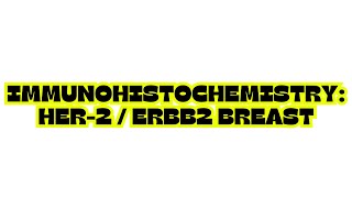 IMMUNOHISTOCHEMISTRY HER2  ERBB2 BREAST [upl. by Dymphia]