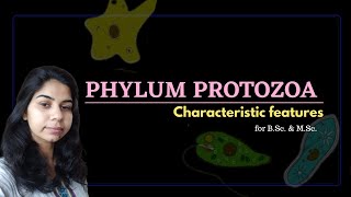 Phylum Protozoa  Characteristic features  Part1 [upl. by Royden]