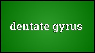 Dentate gyrus Meaning [upl. by Janik]