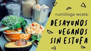 5 DESAYUNOS FÁCILES VEGANOS Y SIN ESTUFA [upl. by Nepsa197]