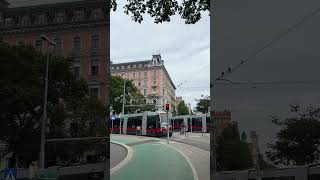 Trams in Wien publictransport vienna tram [upl. by Havard]