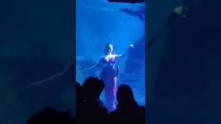 VGP marine kingdom mermaid show mermaid s how chennai madras [upl. by Eidnak104]