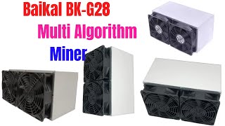 Baikal BKG28 Multi Algorithm Miner  Review 2024 [upl. by Sternick74]