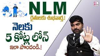 How to get 5 Crore NLM loan by Animal Husbandry Department Full details in Video  SumanTV MW [upl. by Oflodor]