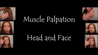 Muscle Palpation  Head and Face Masseter Temporalis Buccinator Orbicularis Oris Mentalis ASMR [upl. by Ahseenyt]