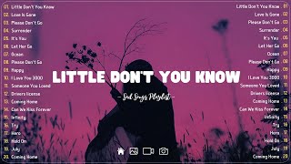 Little Dont You Know💔 Sad songs playlist with lyrics  Depressing Songs 2023 That Will Cry Vol 169 [upl. by Enetsirk638]