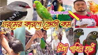 গরমের কারণে কেতা কম tongi pakhir hot টঙ্গী পাখির হাট ২০২৪viral [upl. by Oab661]