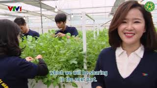 Potato Seed Production Using Aeroponics Technology  VNUAE  VTV [upl. by Enytnoel]