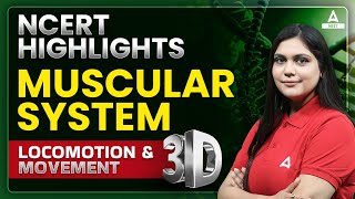 Locomotion and Movement Class 11 One Shot  Muscular System in 3D  NEET 2024  Garima Goel [upl. by Moshell696]