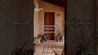 “أحاديث النبي ﷺ دروس وحكم للحياة اليومية  Islam ProphetMuhammad Hadith” [upl. by Amekahs]