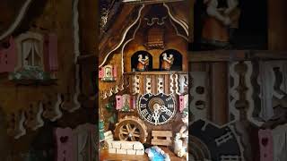 Cuckoo Clock Australia [upl. by Finkelstein587]