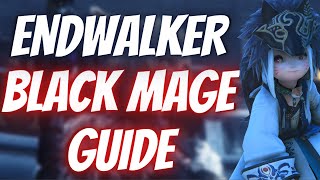 FFXIV  Black Mage Endwalker Guide  Openers Rotation Optimization and Frequently Asked Questions [upl. by Adnoluy]