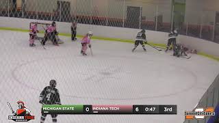 Michigan State at Indiana Tech  Womens Ice Hockey [upl. by Neoma]