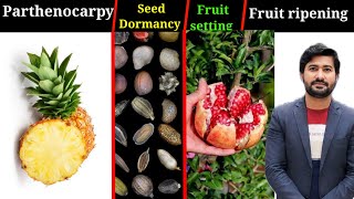 184 Parthenocarpy  Seed Dormancy  Fruit setting and ripening fsc Biology class 12 [upl. by Rhoads788]