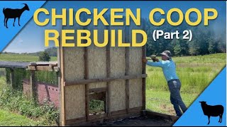 Chicken Coop Rebuild Part 2 Foundation amp 1st Wall [upl. by Ahsotan291]