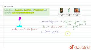 Explain the terms Monadelphous Diadelphous and Polyadelphous In each case name a flower posses [upl. by Weaks]