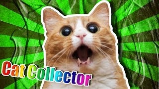 Virtual Cat Collecting Simulator 2000  Super Mega Random Game [upl. by Arihas]