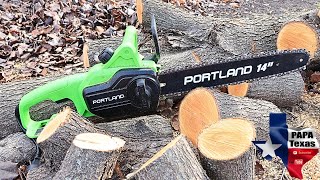 Powerful Electric Chainsaw Review  Is it Worth the Hype [upl. by Meekyh]