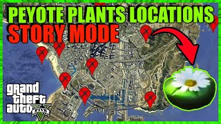 ALL 27 PEYOTE PLANTS Location Map  STORY MODE 2022  How To Find All PeyotePlants GTA 5 Story Mode [upl. by Rainger783]