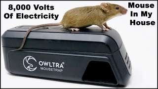 8000 Volts Of Electricity End A Mouse Home Invasion The OWLTRA Infrared Trap Mousetrap Monday [upl. by Ssirk832]