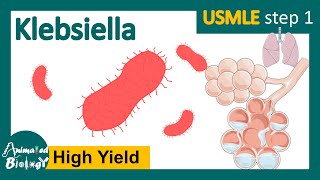 Klebsiella  klebsiella pneumoniae  clinical presentation risk factors and treatment of Klebsiella [upl. by Orapma762]