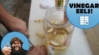 How to Culture Live Vinegar Eels [upl. by Tullusus]