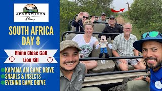 Adventures by Disney  SOUTH AFRICA  Day 8  Kapama Game Reserve  Rhino Close Call  Lion Kill [upl. by Adnorhs]