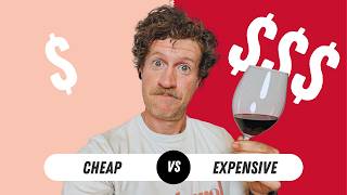 16 vs 190 Wine Cheap vs Expensive Blind Wine Tasting [upl. by Mohkos836]