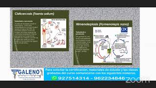 MICOSIS Y PARASITOLOGÍA [upl. by Amaral]