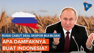 Rusia Cabut Kesepakatan Ekspor Bijibijian Ukraina Apa Dampaknya bagi Indonesia [upl. by Melessa63]