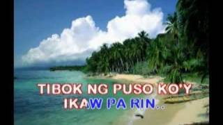 TIBOK NG PUSO  Willy Garte  Karaoke Version [upl. by Eesac727]