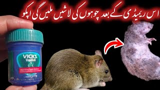 Quick rat killer  rat trap  rat killer rat poison home remedies  kitchen Tips [upl. by Nivej]