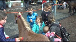 KIJK TERUG  Paardenmarkt Rijnsburg 2019 [upl. by Ecnarf]