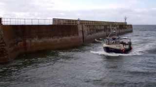 Creel Boat Returning To Harbour Pittenweem East Neuk Of Fife Scotland July 27th [upl. by Otrebor247]