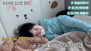 육아브이로그 10개월 아기와 연말 보내기😂초간단 밥솥 이유식🍳 초간단 분유빵🥧종달기상 아기와 해돋이보기🌄 [upl. by Hcaz67]