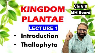 Thallophyta Kingdom Plantae Lecture 1  Class 11 Biology  Maharashtra State Board [upl. by Wagstaff844]